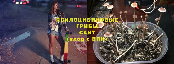 МДПВ Алексин