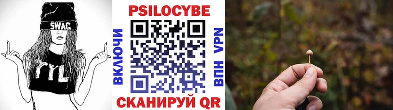 Купить где  Алексеевка  Псилоцибиновые грибы мицелий 