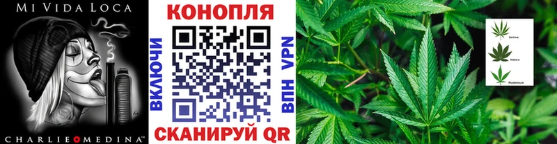 Купить где  Алексеевка  Каннабис план 